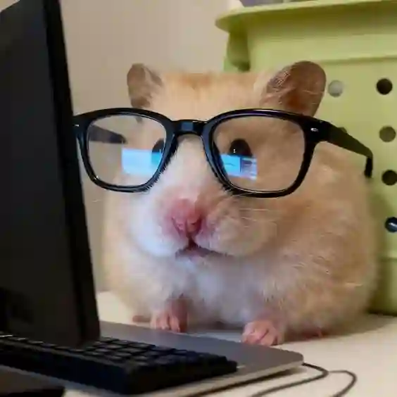 آواتار