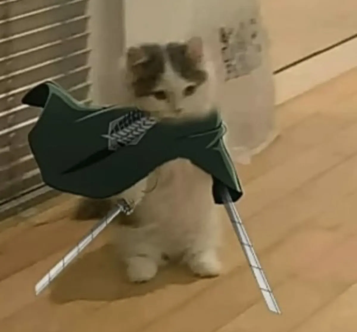 آواتار